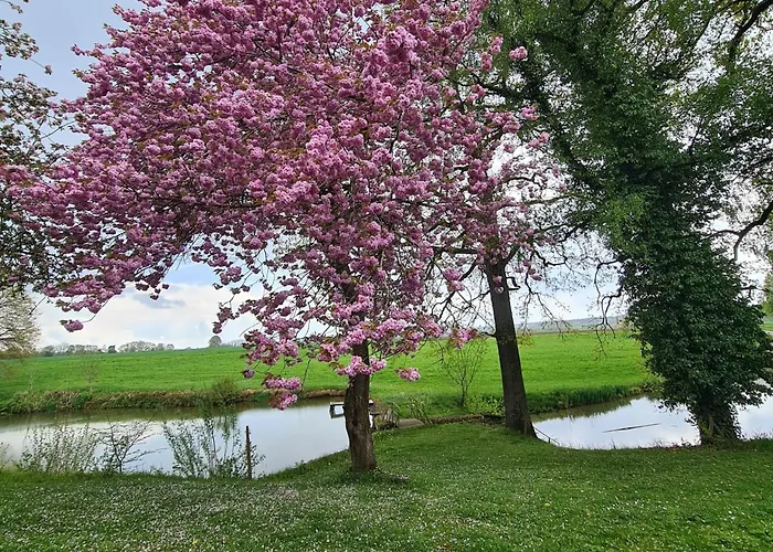 Gaestehaus Eicherhof Kır Evi Forstern